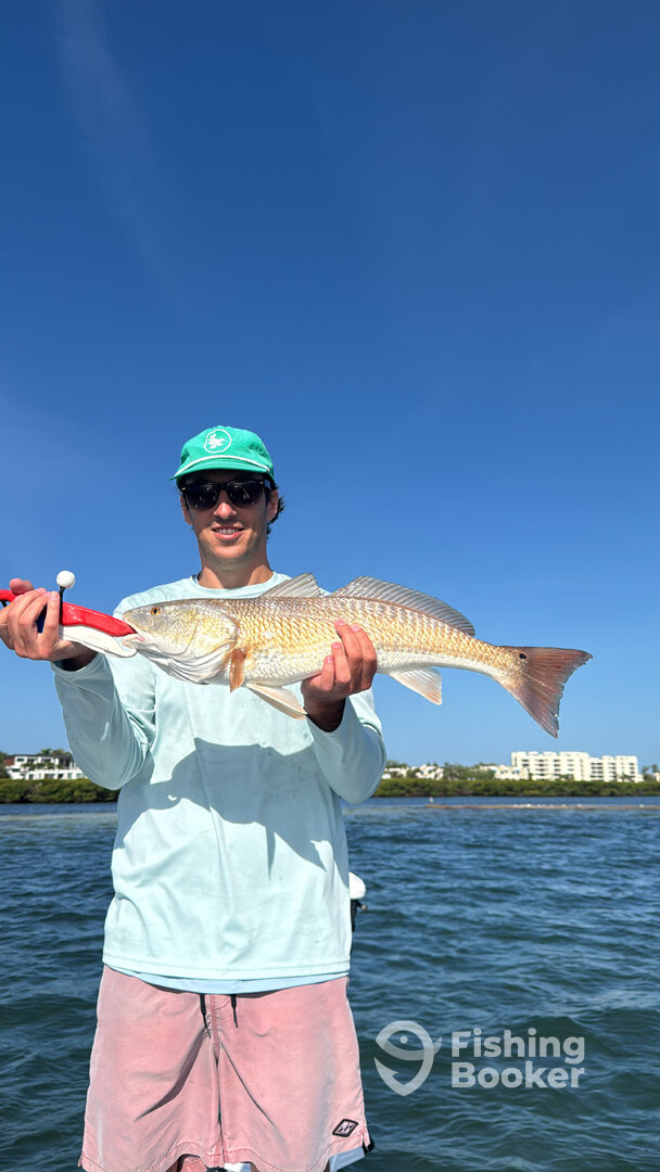 Sarasota Report Photo 0