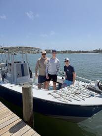 Mac attack. The mackerel have shown up i