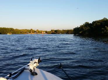 Ruskin Report Photo 2