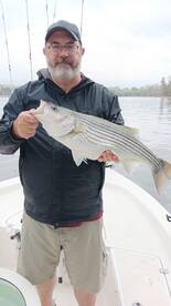 Gainesville Report Photo 1