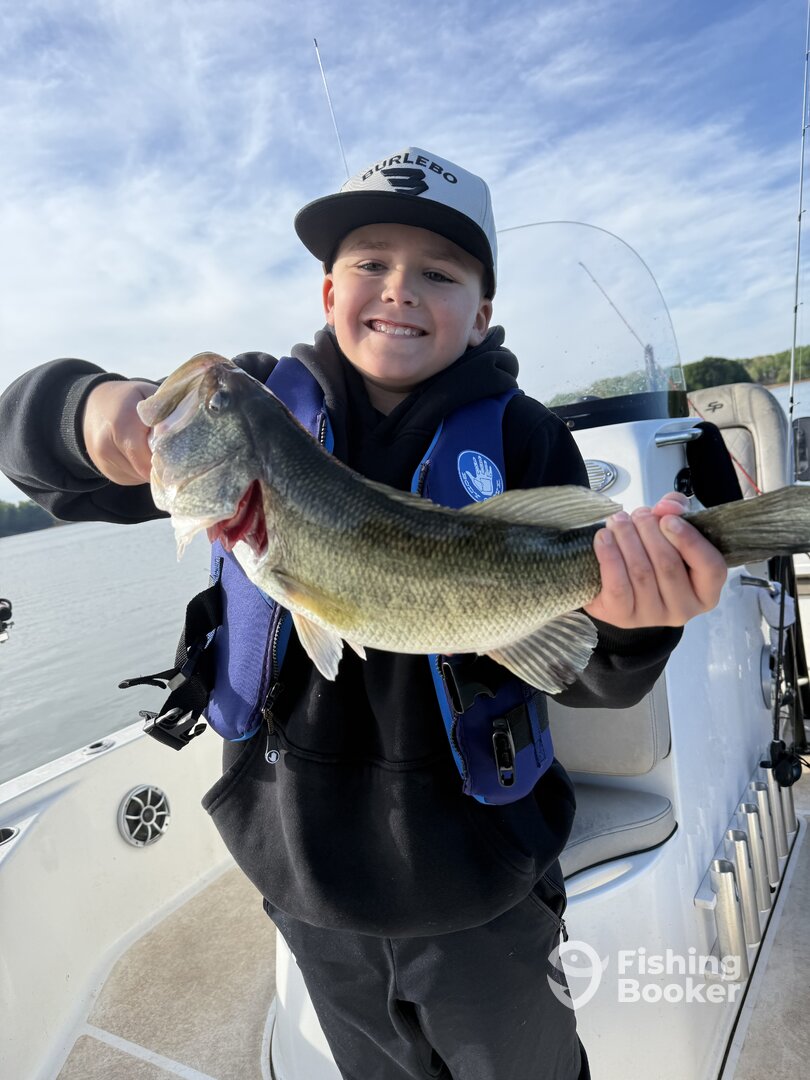 Townville Report Photo 0