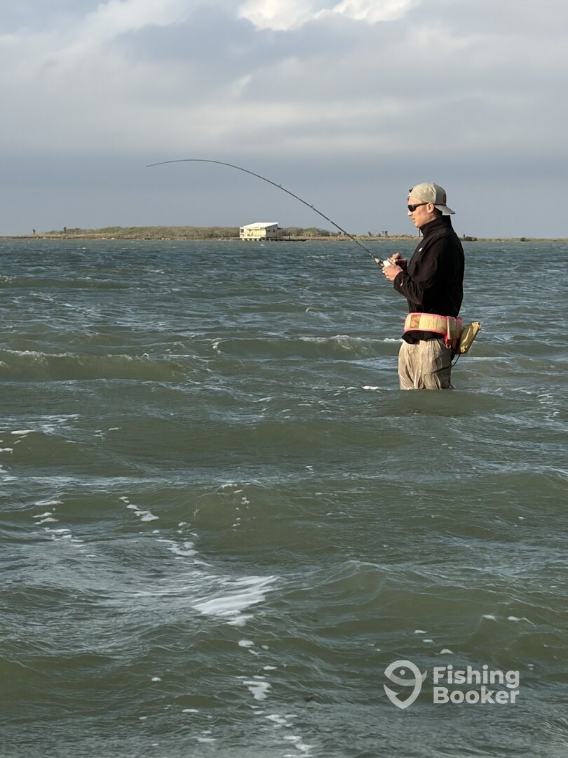 South Padre Island Report Photo 0