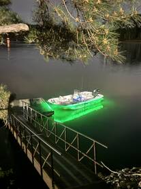 Georgia Report Photo 1