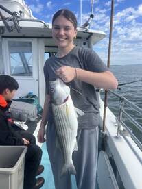 California Report Photo 1