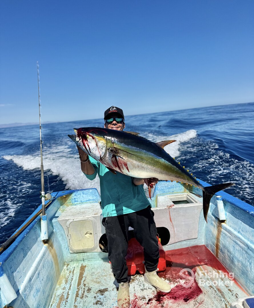 San Jose del Cabo Report Photo 0