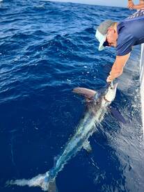 White marlin double header