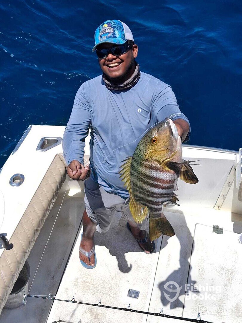 Cabo San Lucas Verslag Foto 0