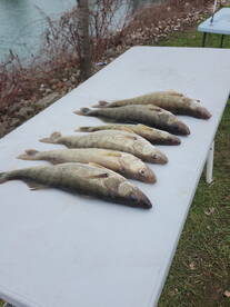 Michigan Report Photo 2