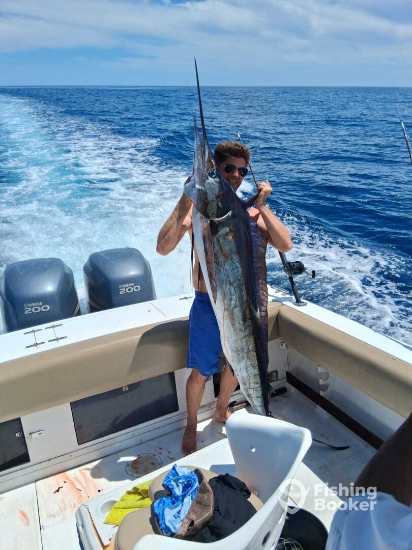 San Jose del Cabo Report Photo 0