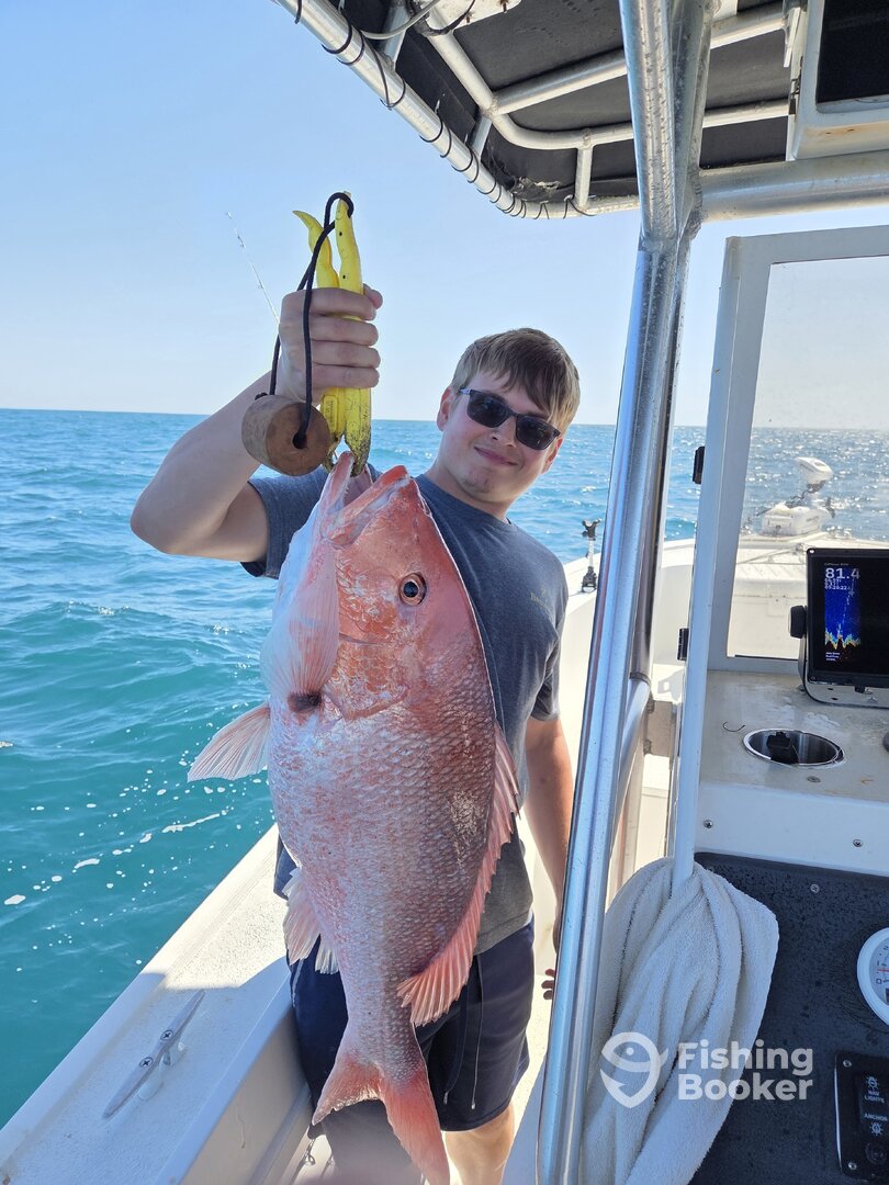 Apalachicola Report Photo 0