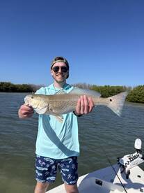 St. Petersburg Report Photo 2