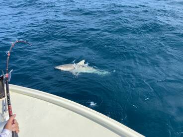 Windy conditions but still great bite