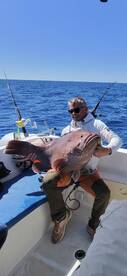 Giant grouper 