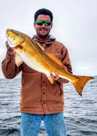 Pensacola Beach Report Photo 1