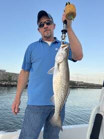 Big Girls (Trout) playing today. 
