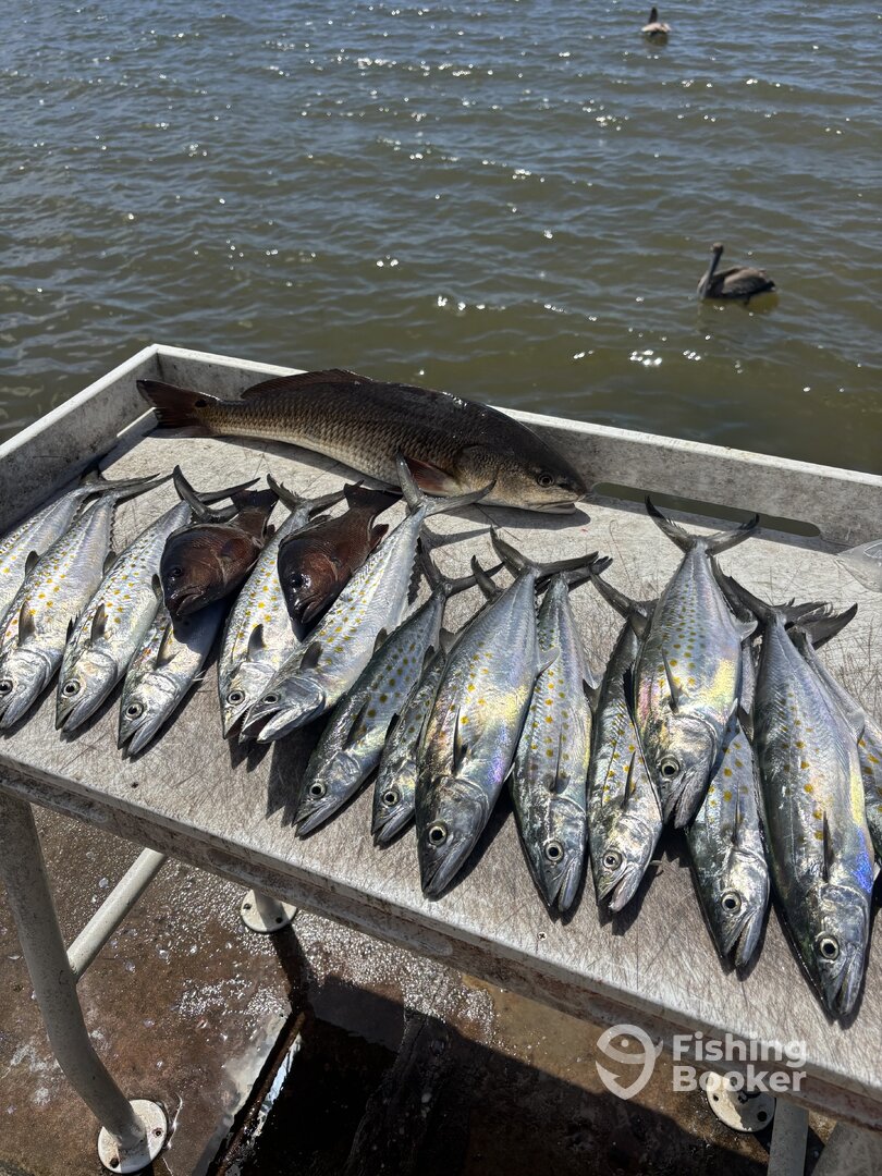 Santa Rosa Beach Report Photo 0