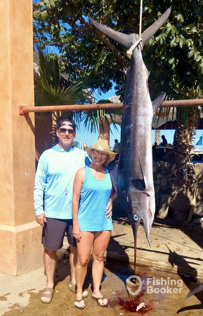 San Jose del Cabo Report Photo 0