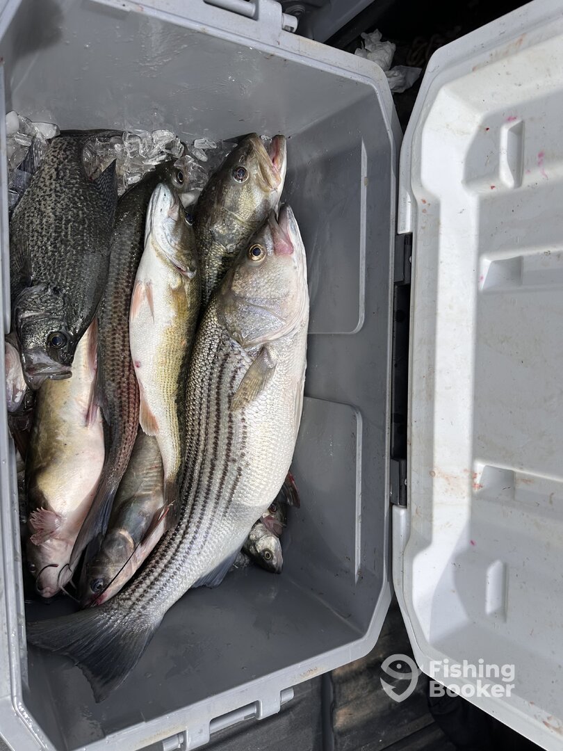 South Carolina Report Photo 0