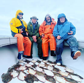 Winter  flounder 