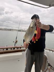 Foto Report Lisbon District 3