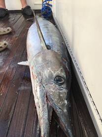 North Sound Estates Report Photo 2