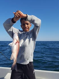 Bay Pines Report Photo 2