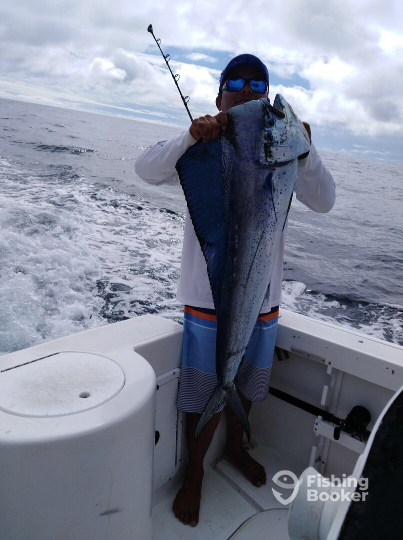 Herradura Report Photo 0