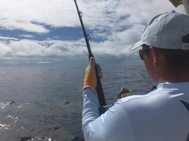 Herradura Report Photo 1