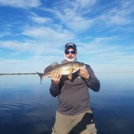 Port Sulphur Report Photo 1