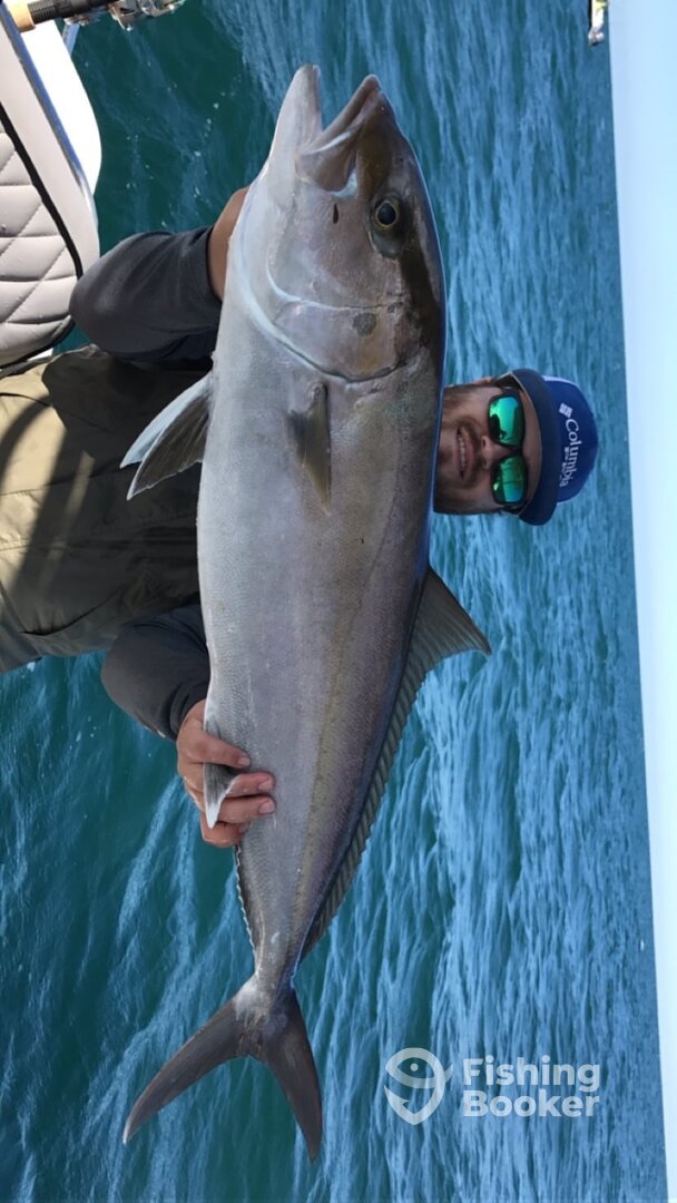 Sarasota Report Photo 0