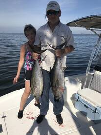 Sarasota Report Photo 1