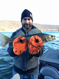 Harding Report Photo 2