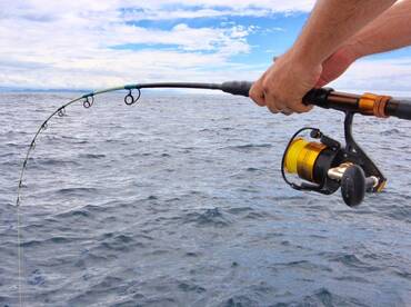 Quepos Report Photo 2