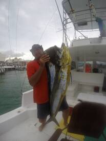 Cozumel Report Photo 1