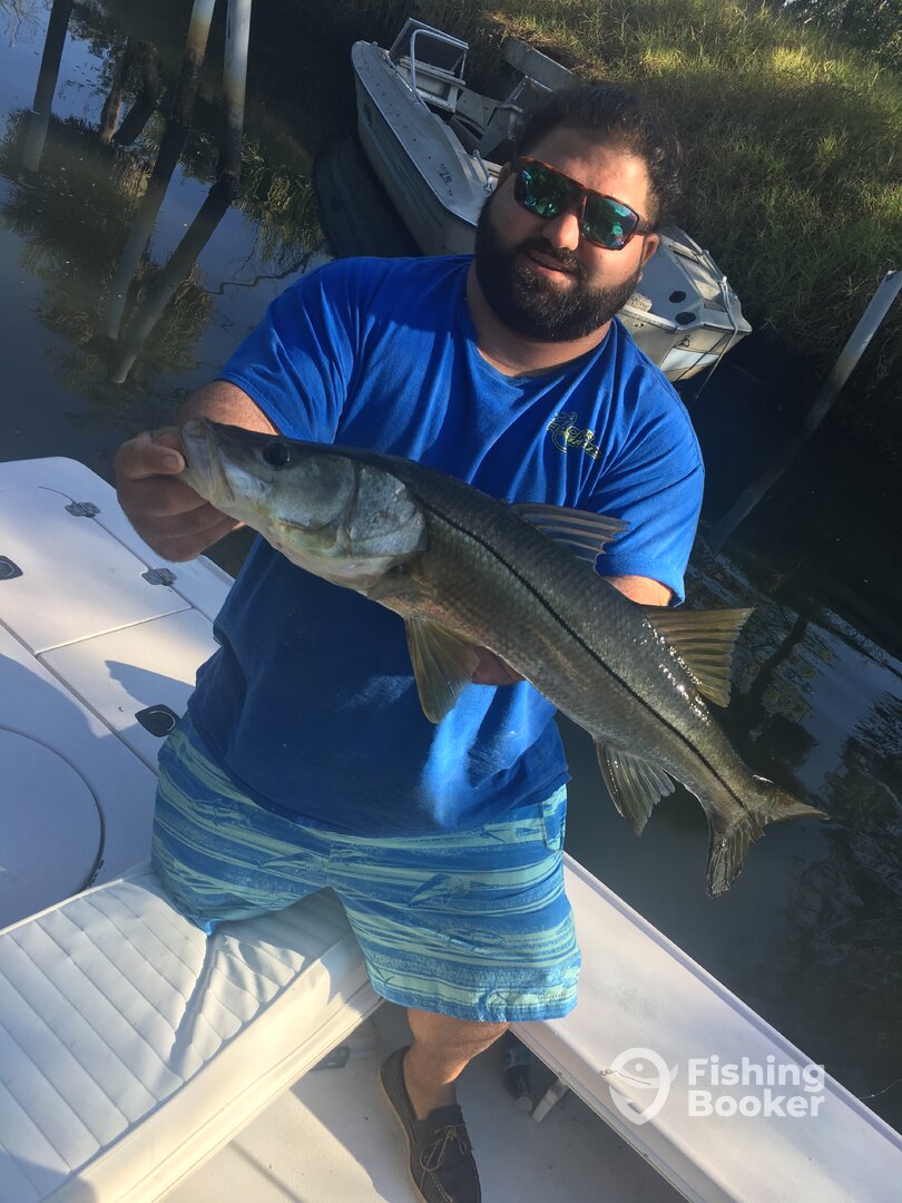 Tampa Report Photo 0