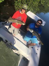 Tampa Report Photo 1