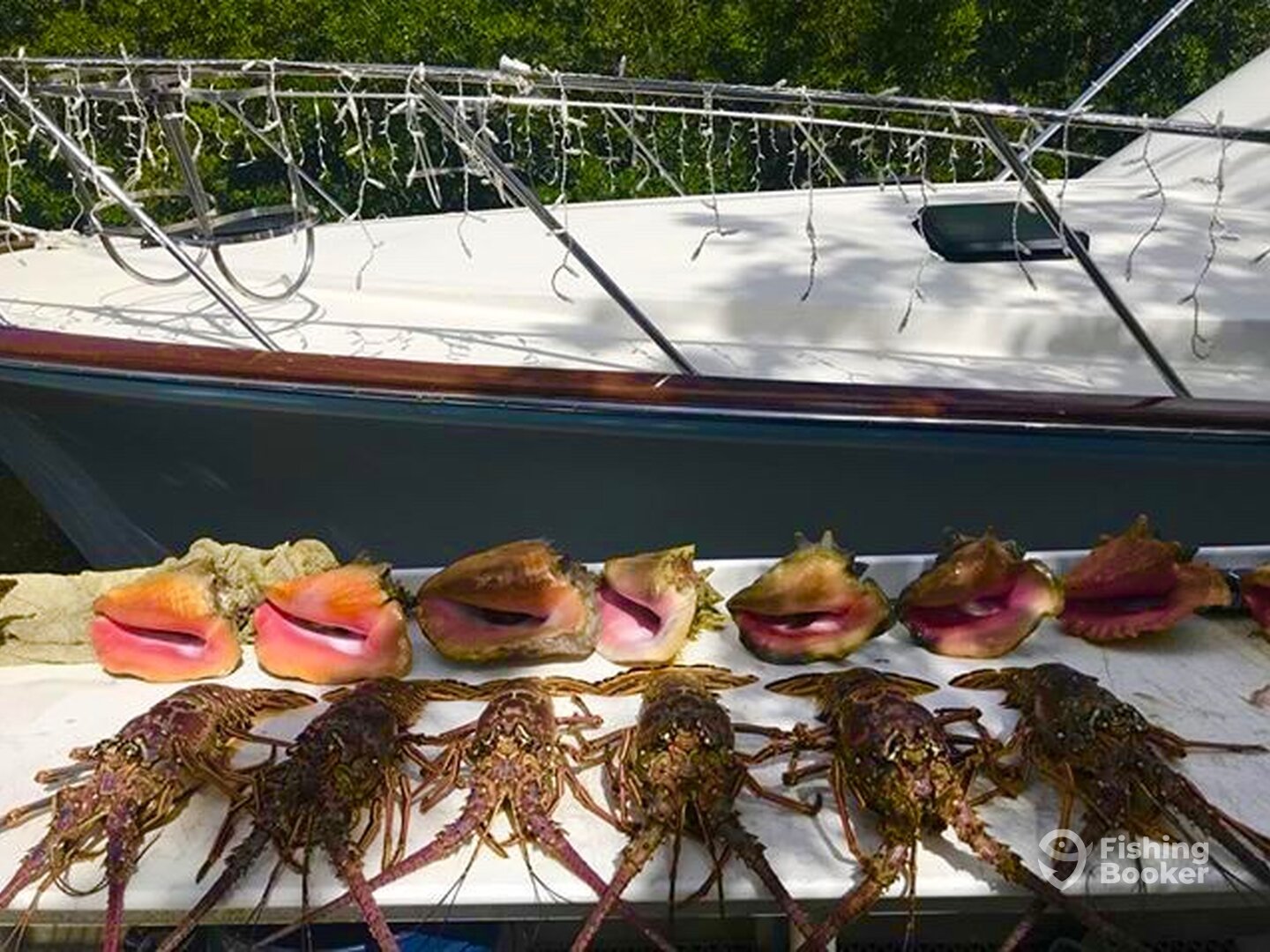 North Sound Estates Report Photo 0