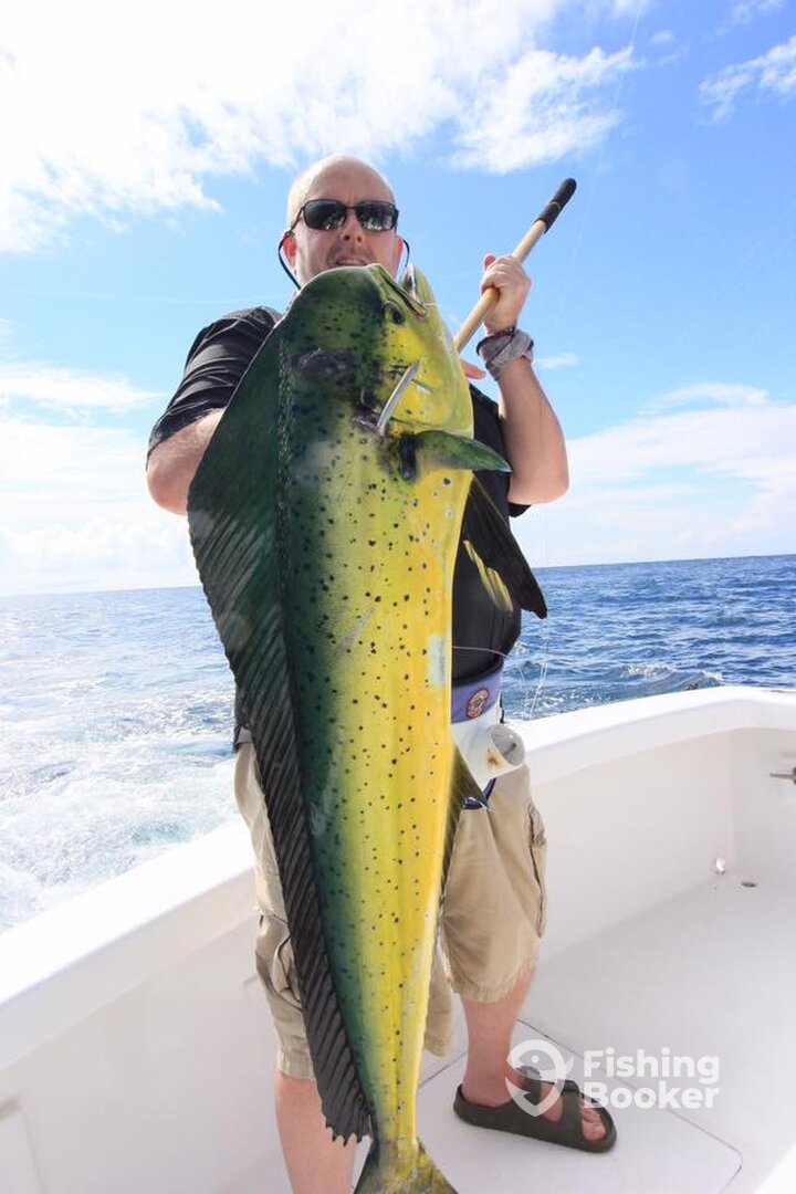 Quepos Report Photo 0