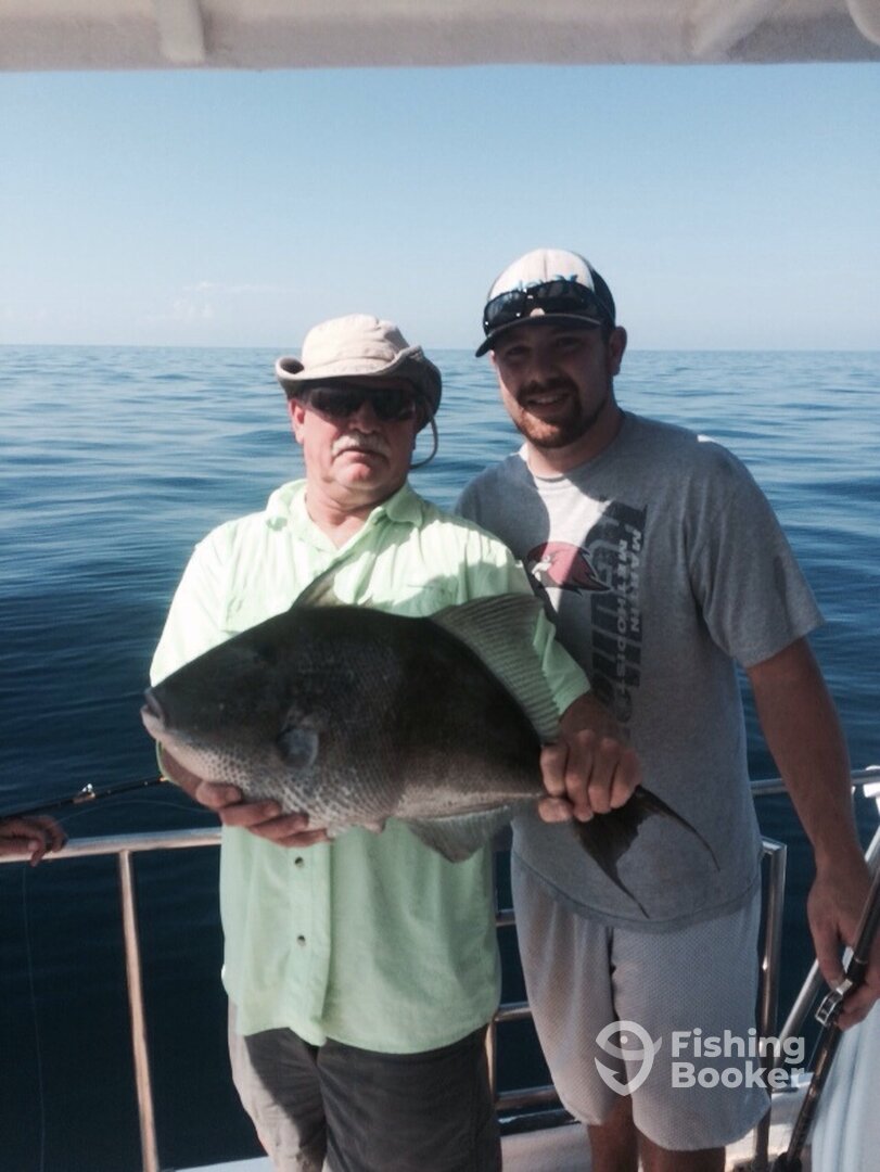 8lb-9lb triggerfish