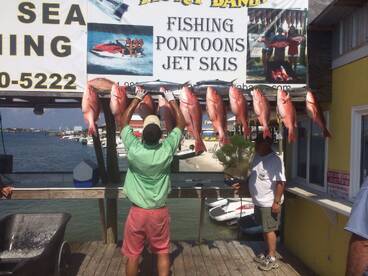 8hr trip on the Jus Cuz