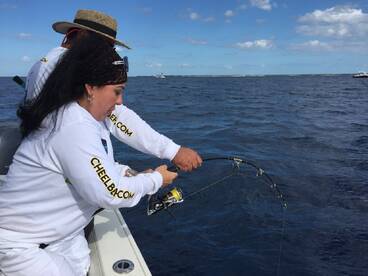 Tunas & Yellow eye snappers