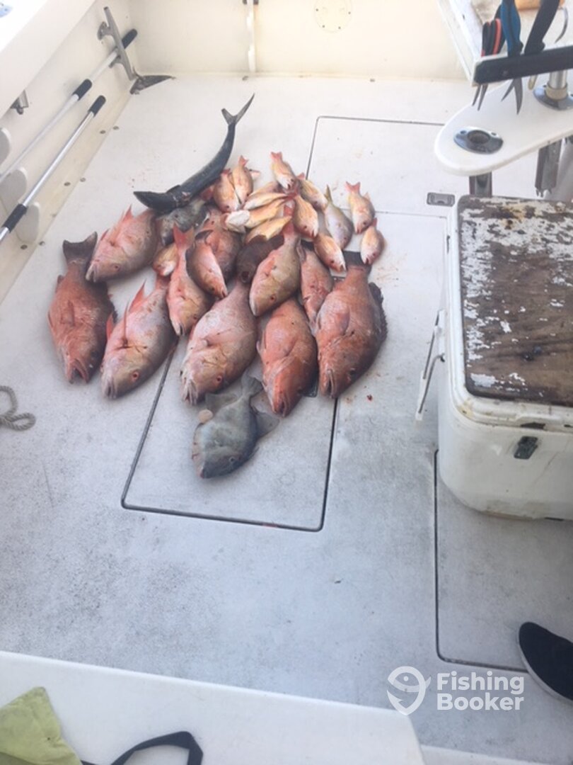 Fort Pierce Report Photo 0