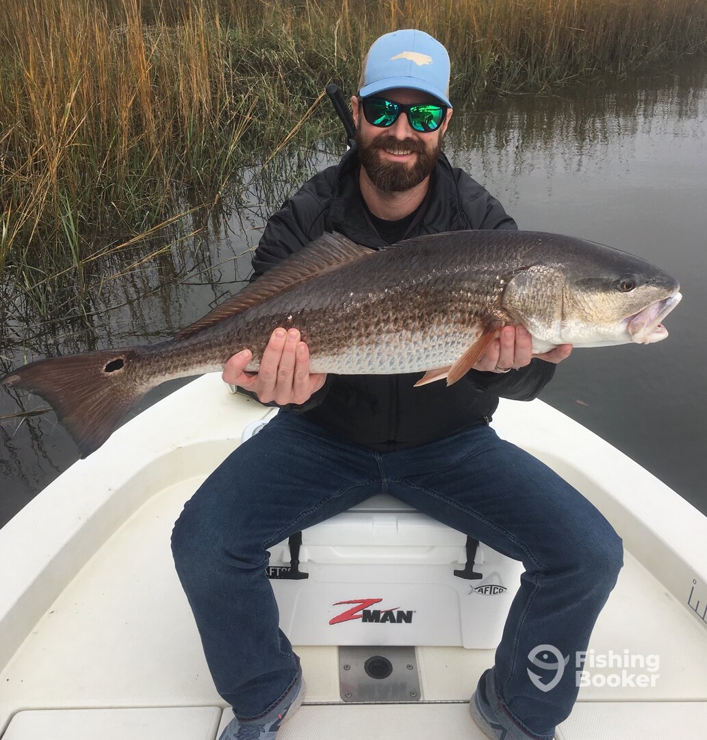 Mount Pleasant Report Photo 0