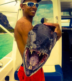 Le Morne Report Photo 2