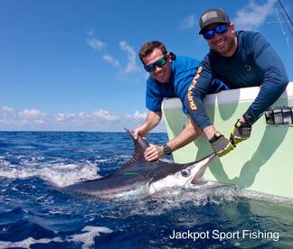 Quepos Report Photo 1