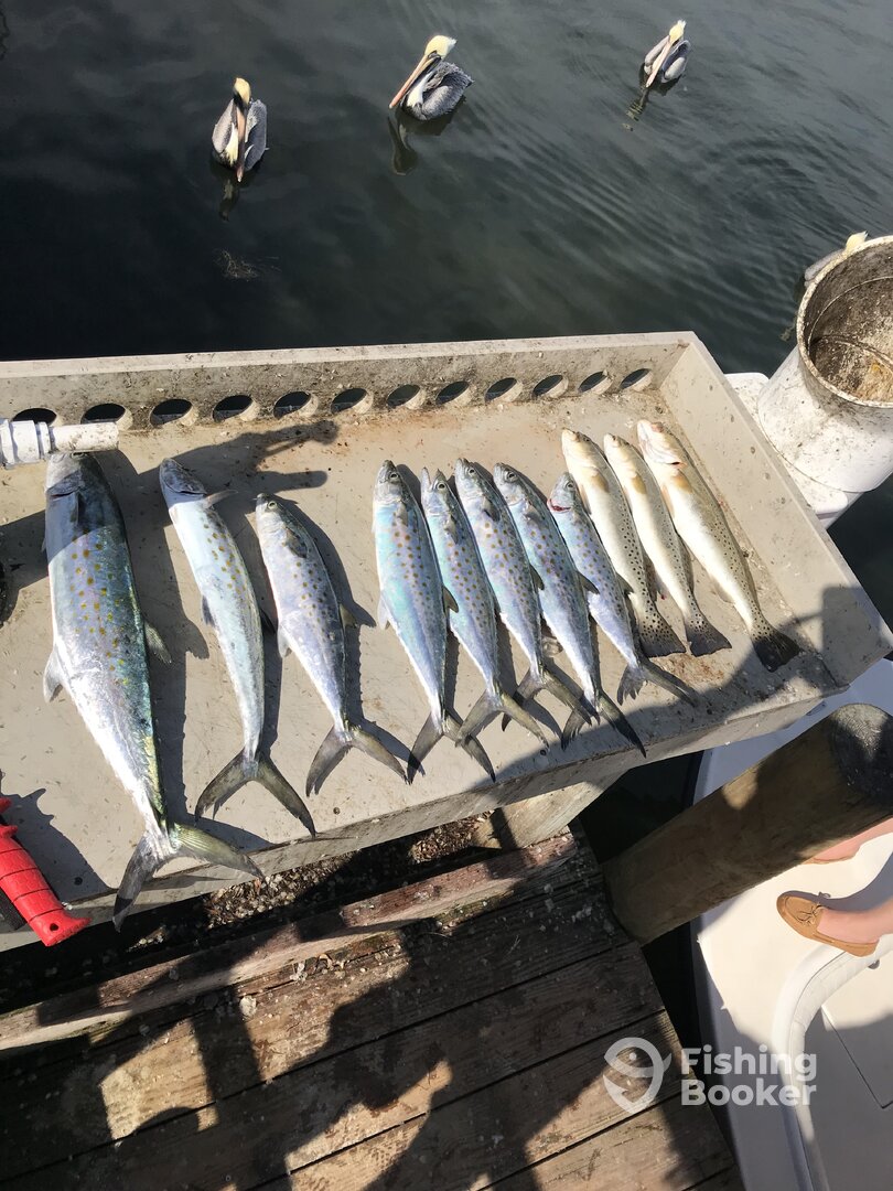 Bradenton Report Photo 0