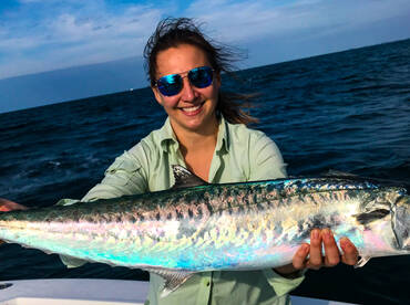 Great King Bite Anna Maria