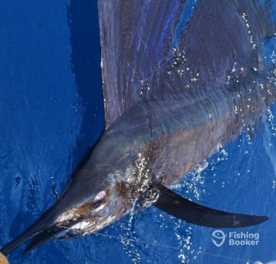 Pompano Beach Report Photo 0