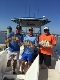 Fairhope Report Photo 2