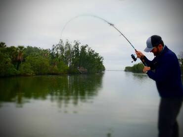 Orlando Report Photo 2